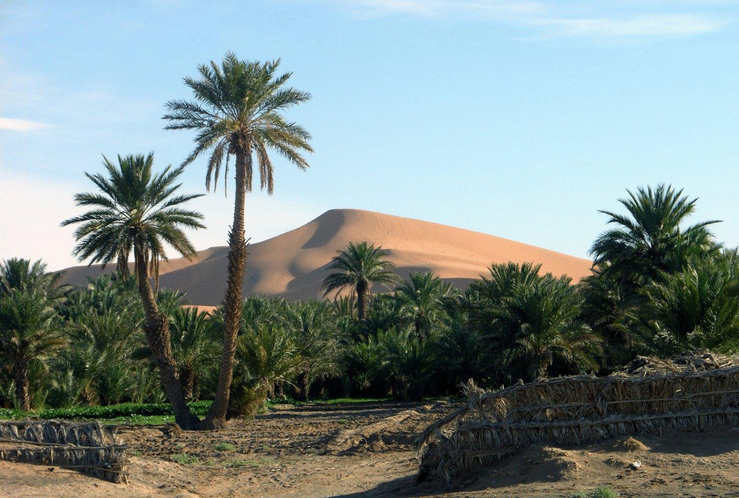 Hotel Riad Oasis Merzuga Kültér fotó